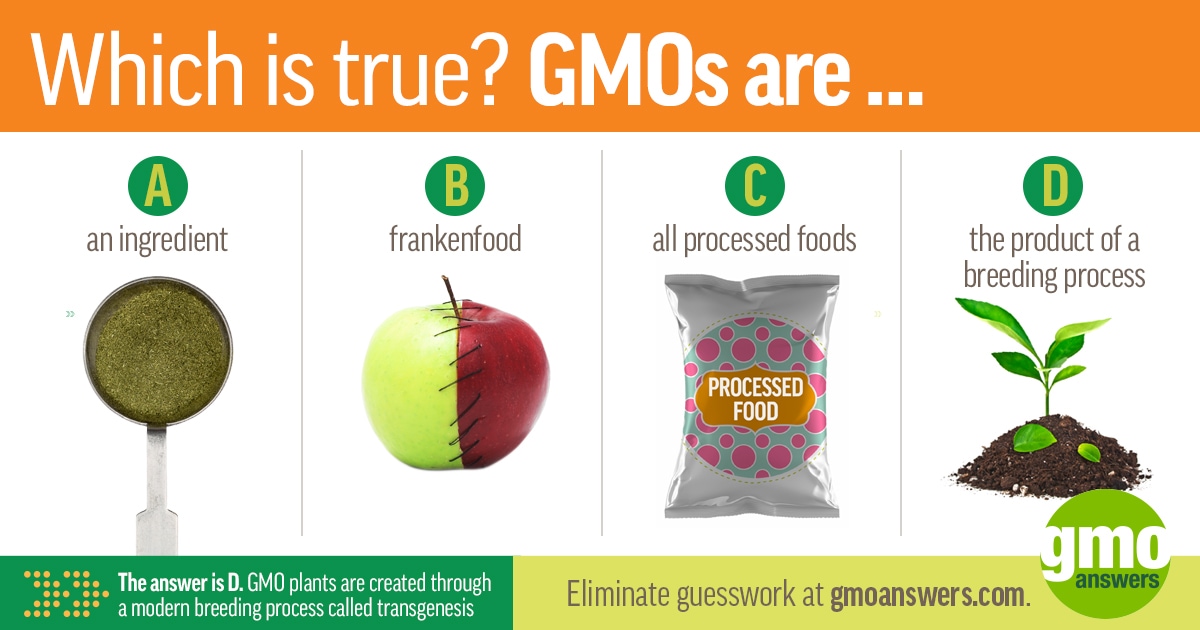 Environmental Benefits of GMOs vs. Organic Crops GMO Answers